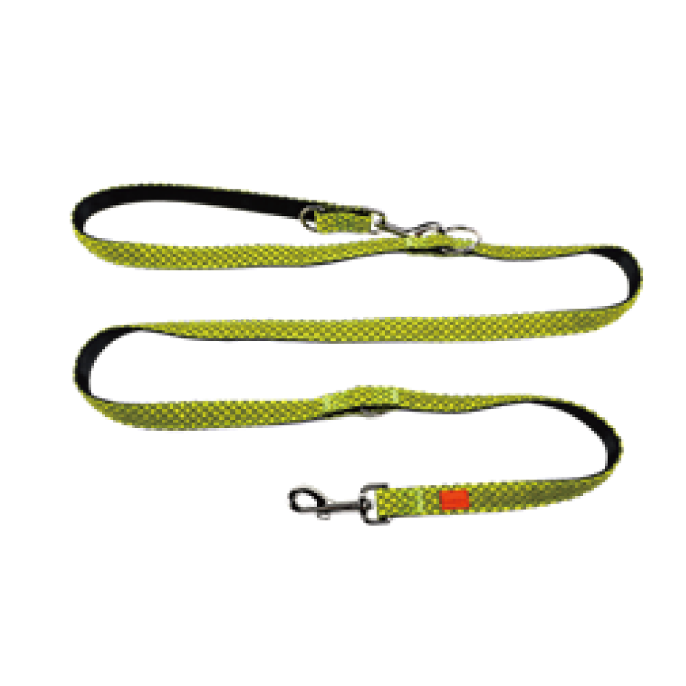 Multi-functional Leash for Dogs